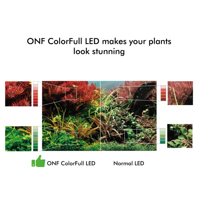ONF Colorful LED