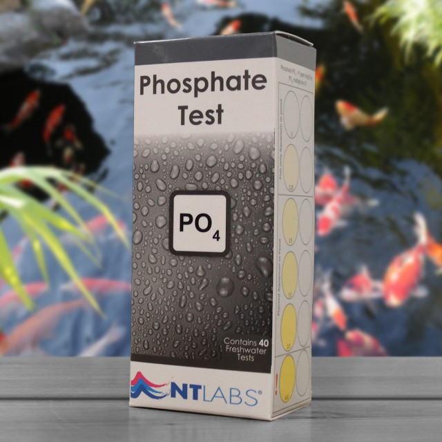 Phosphate Test Display