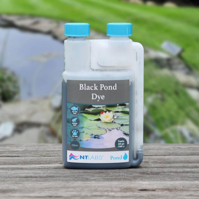 Black Pond Dye Display