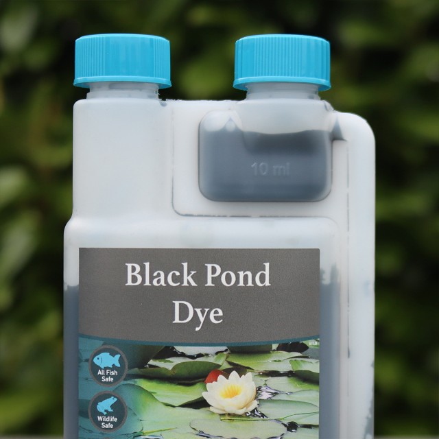 Black Pond Dye Lifestyle 2