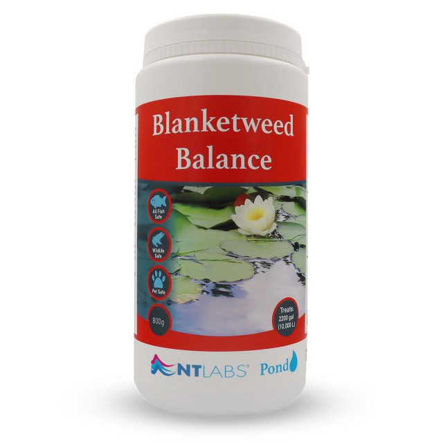 Blanketweed Balance Front