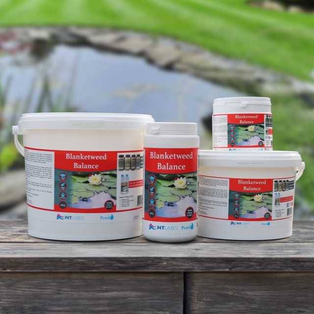 Blanketweed Balance Display