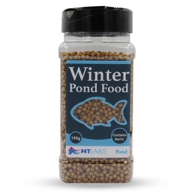 Winter Pond Food Front