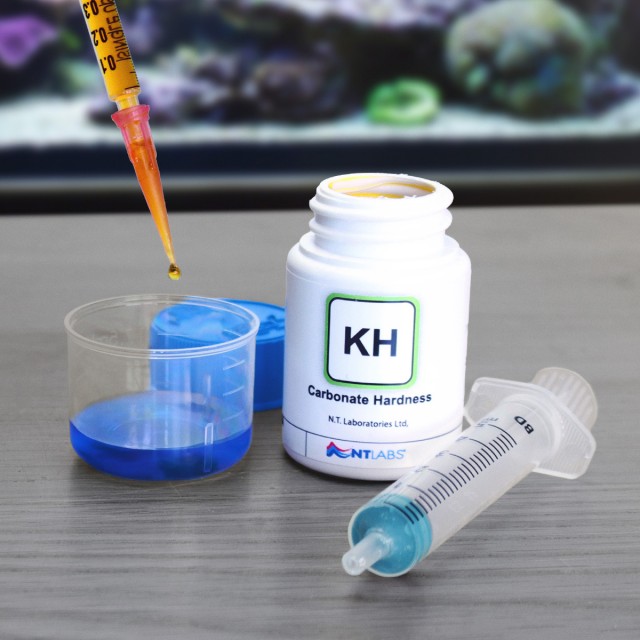 Marine Carbonate Hardness Lifestyle 1