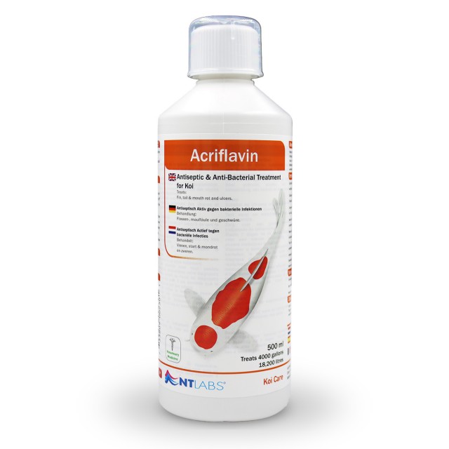Acriflavin Front