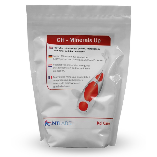 GH - Minerals Up Front