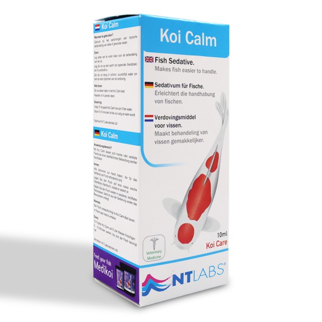 Koi Calm Front