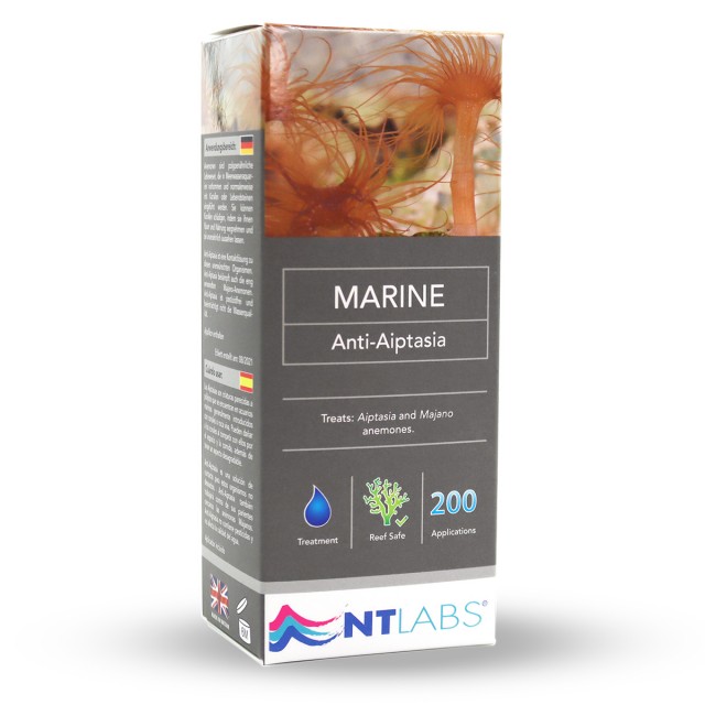 Marine Anti-Aiptasia Front