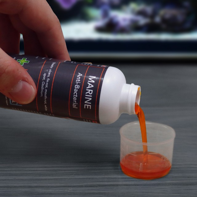 Marine Anti-Bacterial Lifestyle 1