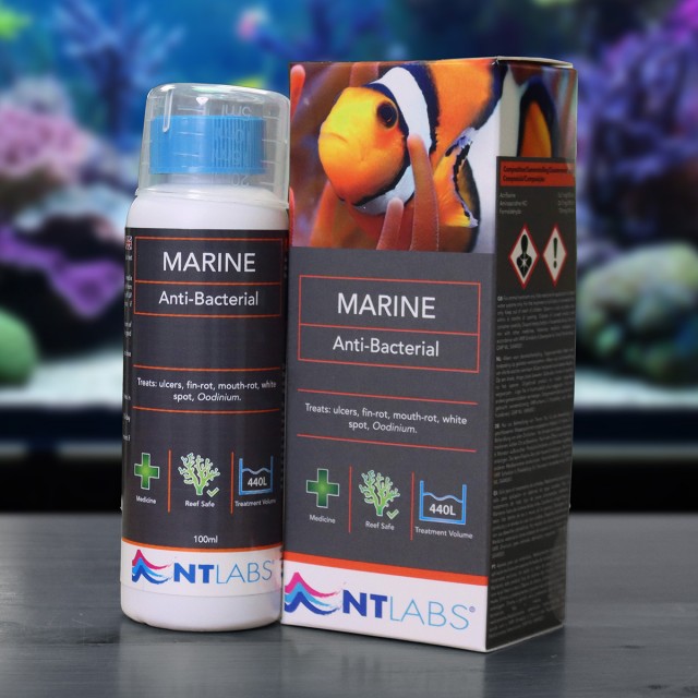 Marine Anti-Bacterial Contents