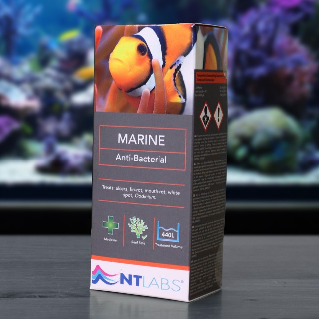 Marine Anti-Bacterial Display