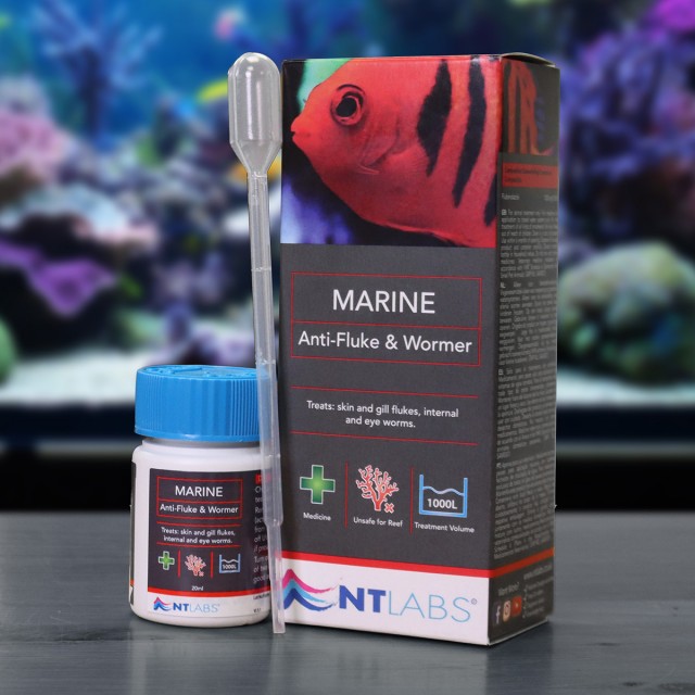 Marine Anti-Fluke & Wormer Contents