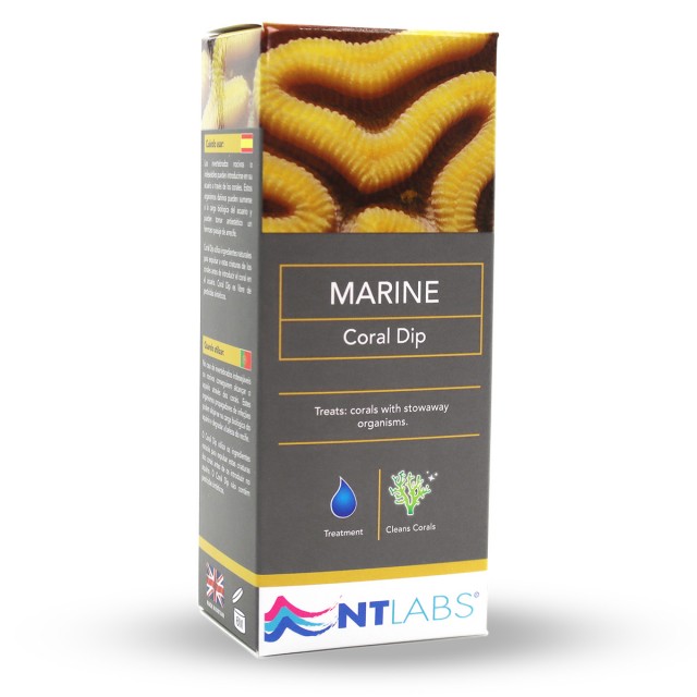 Marine Coral Dip Front