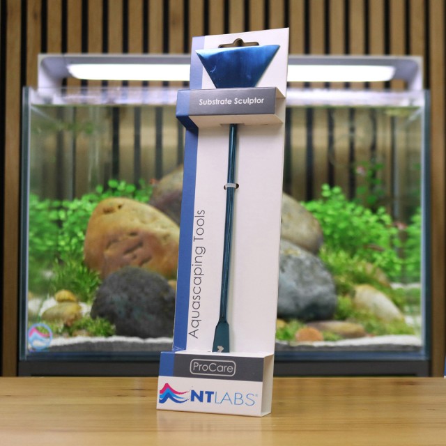 Substrate Sculptor Display