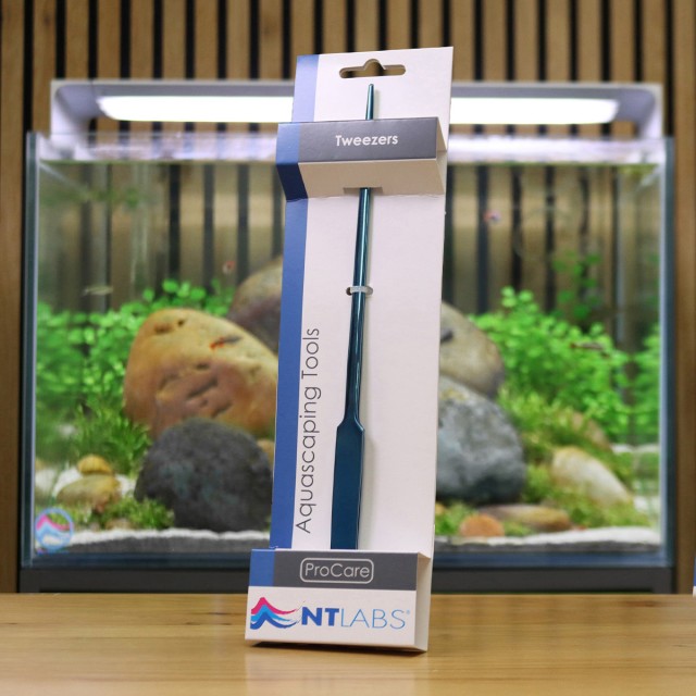 Tweezers Display