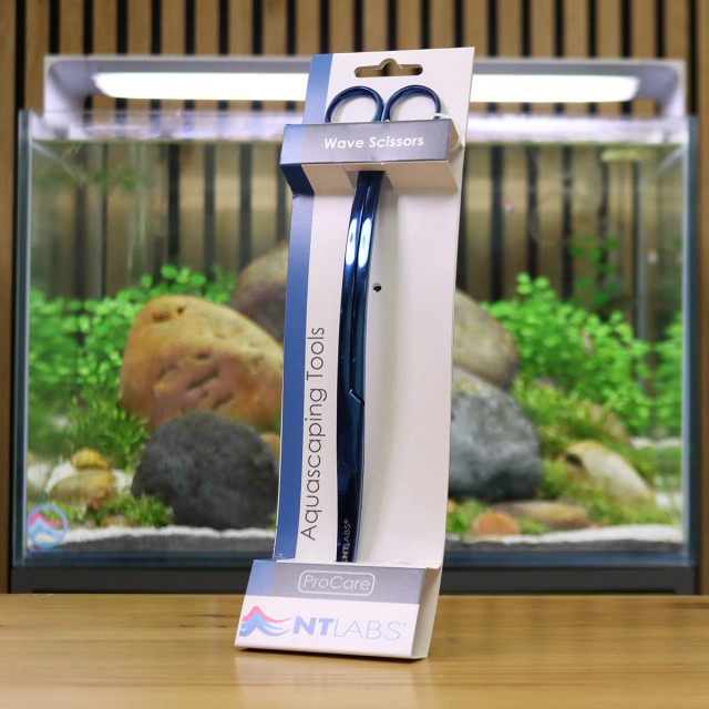 Wave Scissors Display