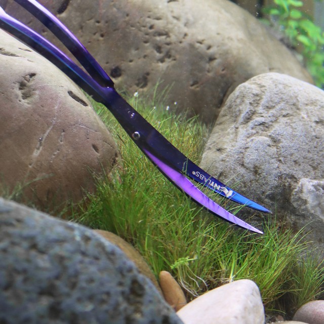 Wave Scissors Lifestyle 2