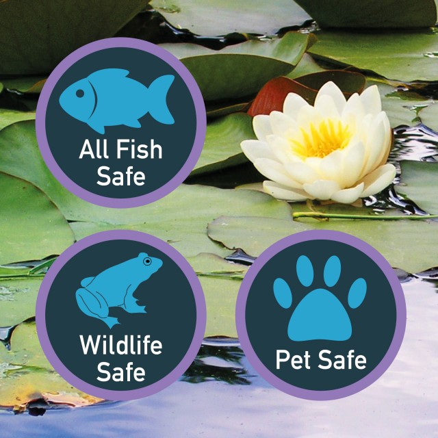 Pond pH Stabiliser DG