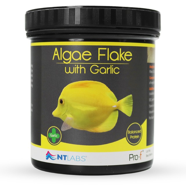 Algae Flake with Garlic Front