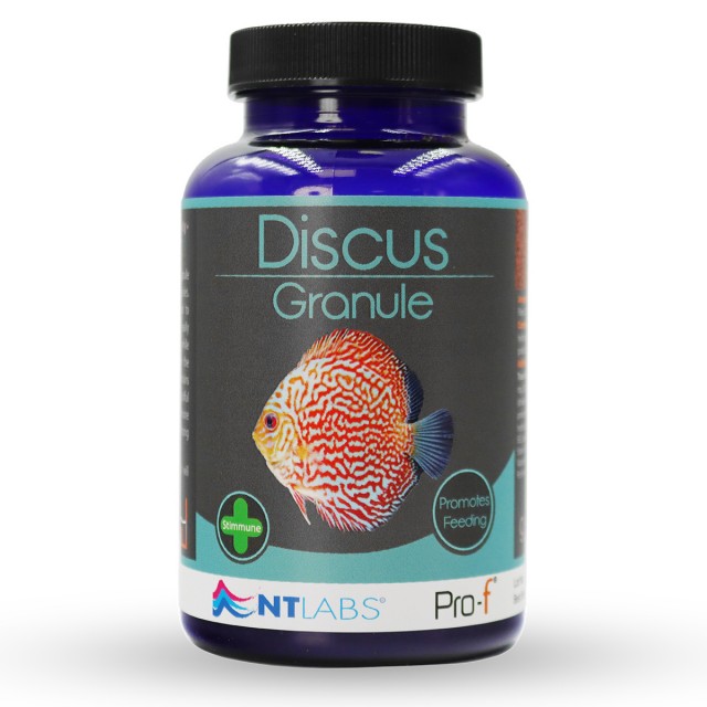 Discus Granule Front