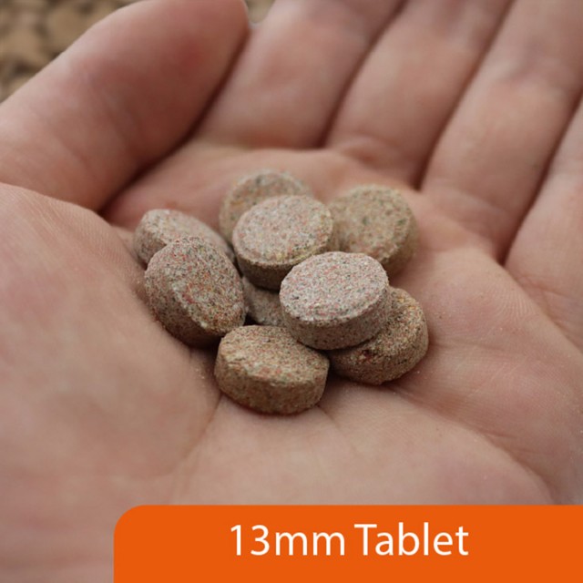 Fish Treat Tablets LS2