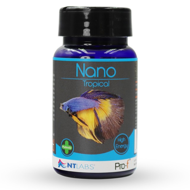 Nano Tropical Front