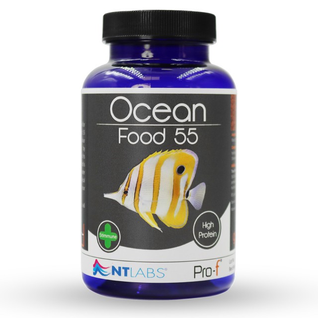 Ocean Food Front