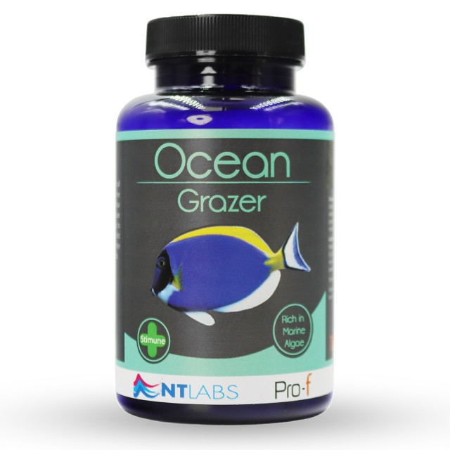 Ocean Grazer Front