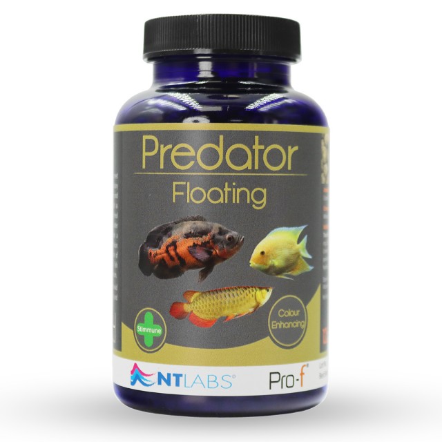 Predator Floating Front