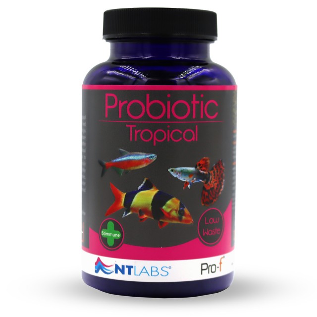 Probiotic Tropical Front
