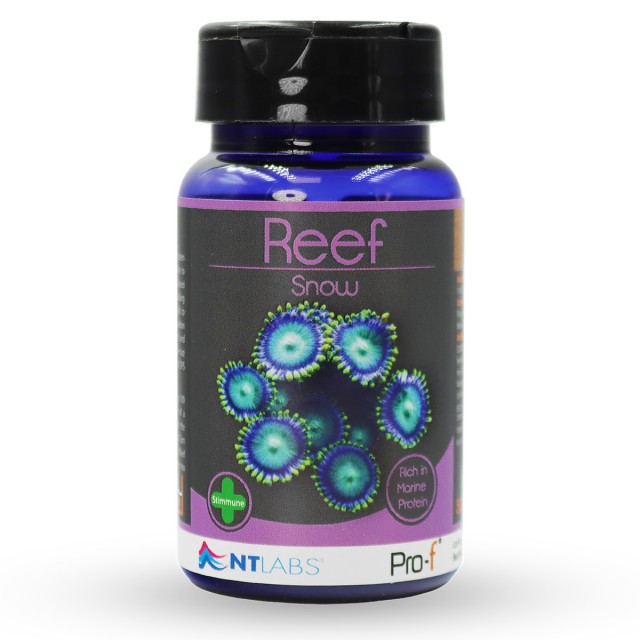 Reef Snow Front