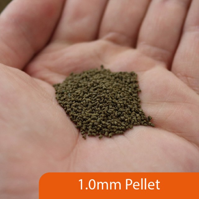 Tadpole Food LS2
