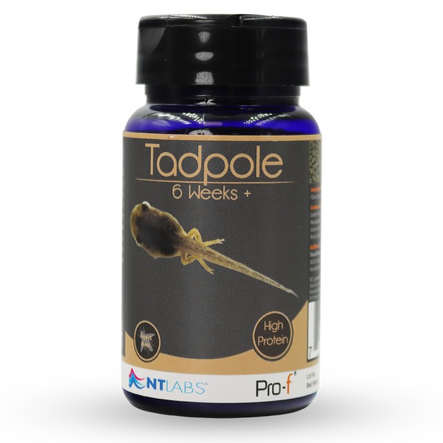 Tadpole Food Front