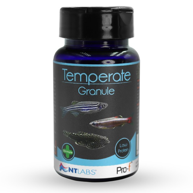 Temperate Granule Front