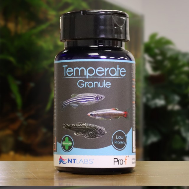 Temperate Granule Display