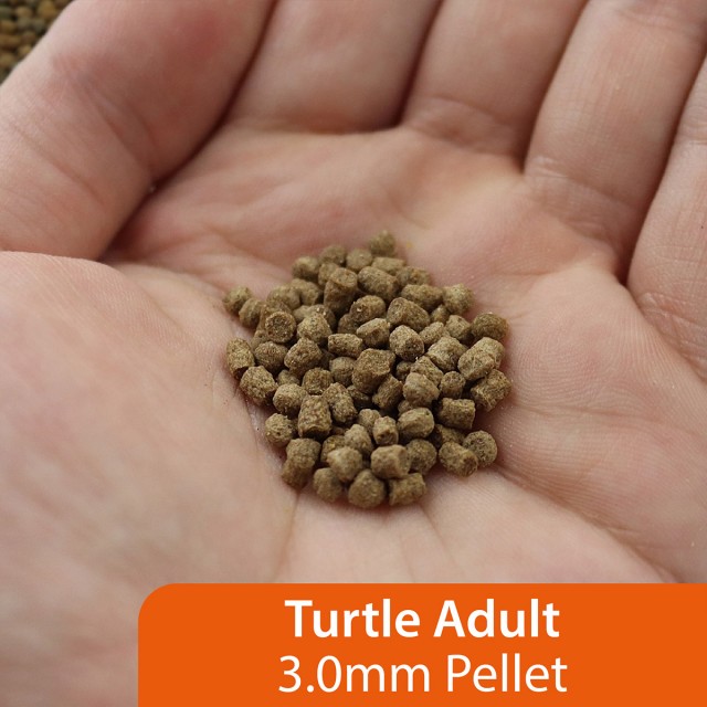 Turtle Food Adult LS2