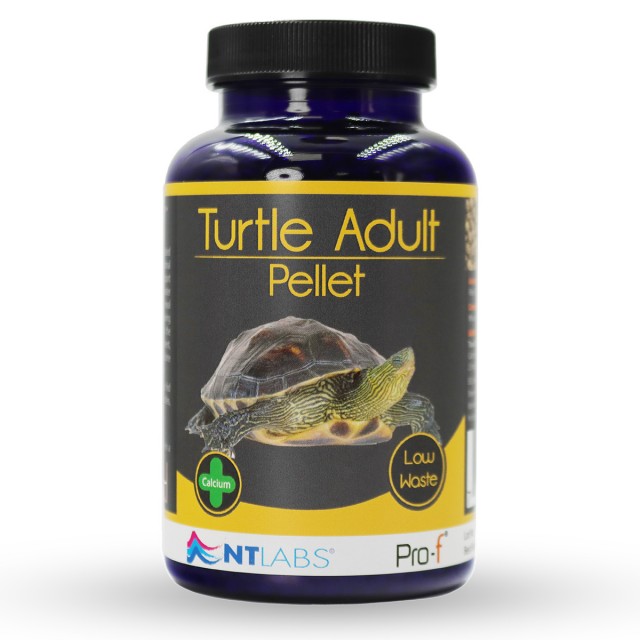 Turtle Food Adult Front