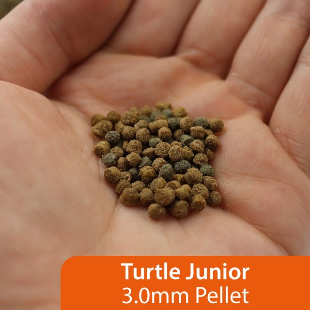 Turtle Food Junior LS2