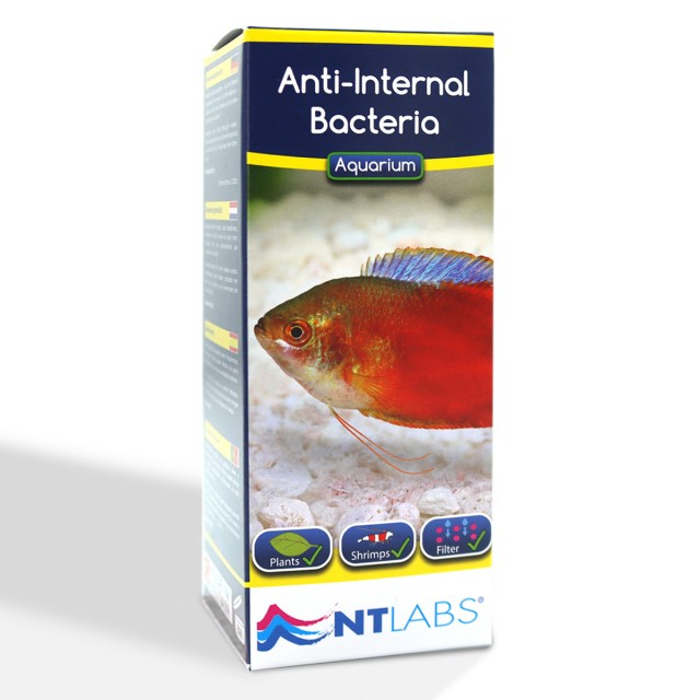 Anti-Internal Bacteria Front