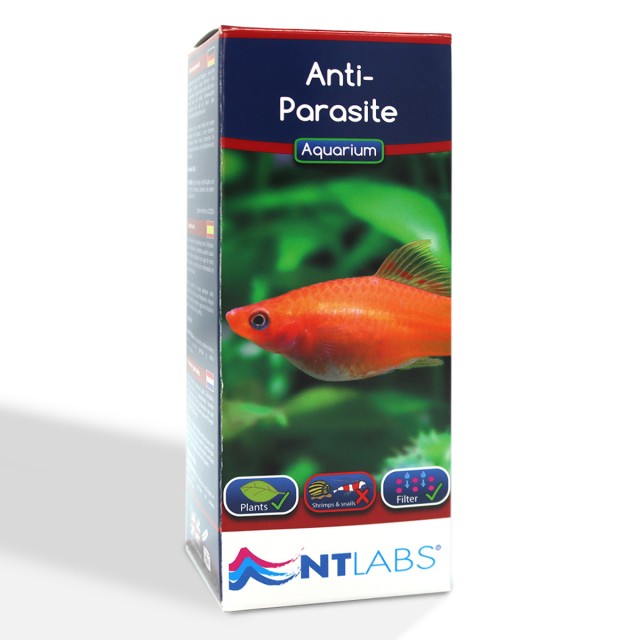 Anti-Parasite Front