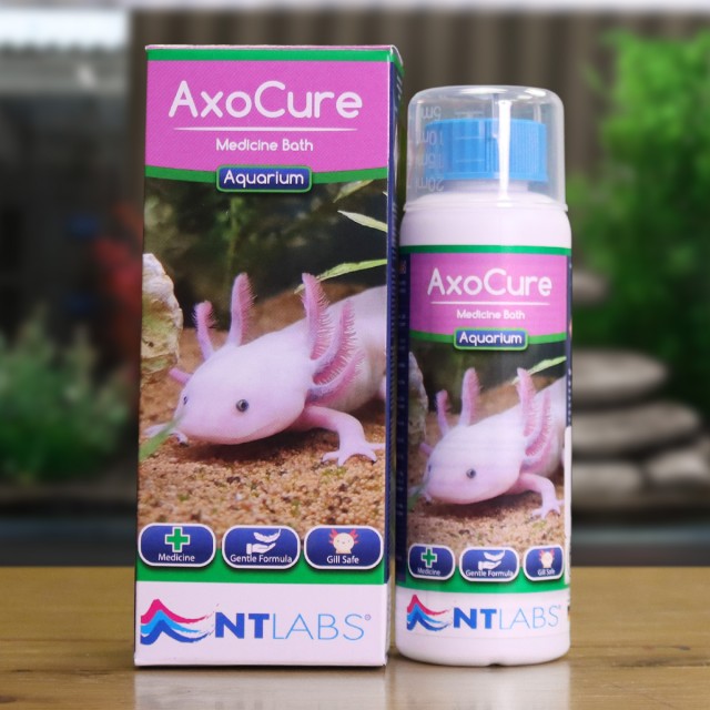 AxoCure Contents 