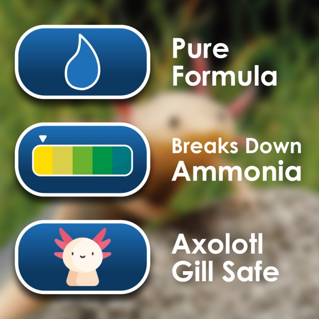 AxoStart Lifestyle 1