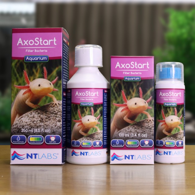 AxoStart Contents