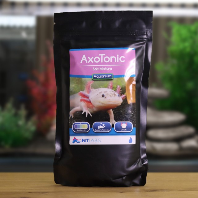 AxoTonic Display