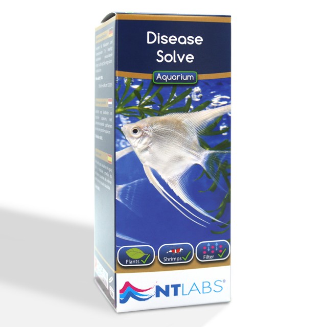 Disease Solve Front