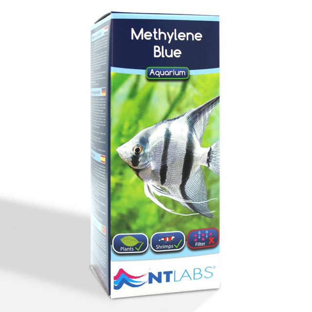 Methylene Blue Front