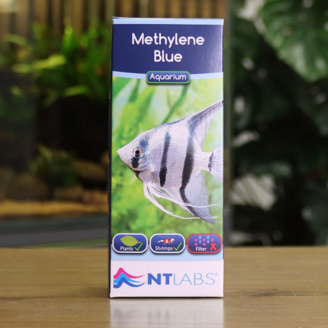 Methylene Blue Display