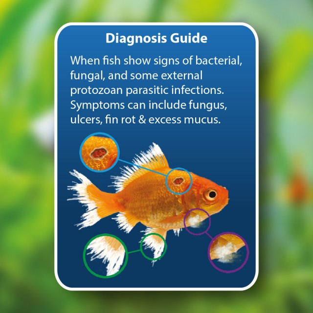 Methylene Blue Diagnosis Guide