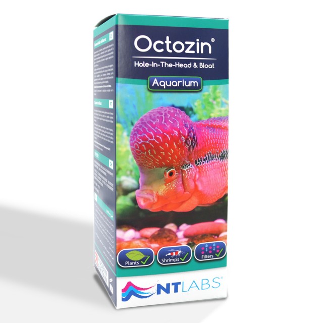 Octozin Menu