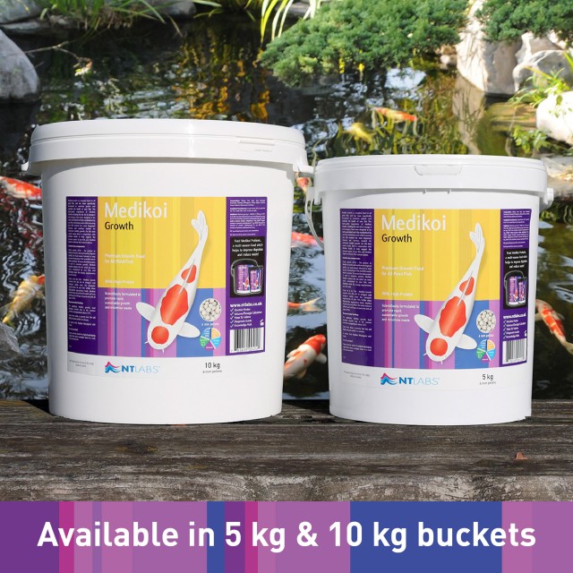 Medikoi Growth_Buckets
